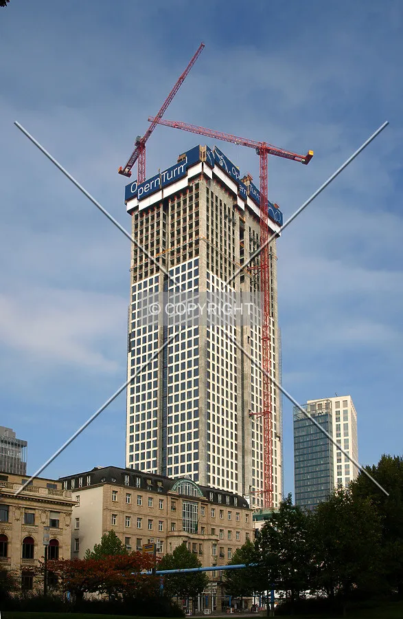 View from the south