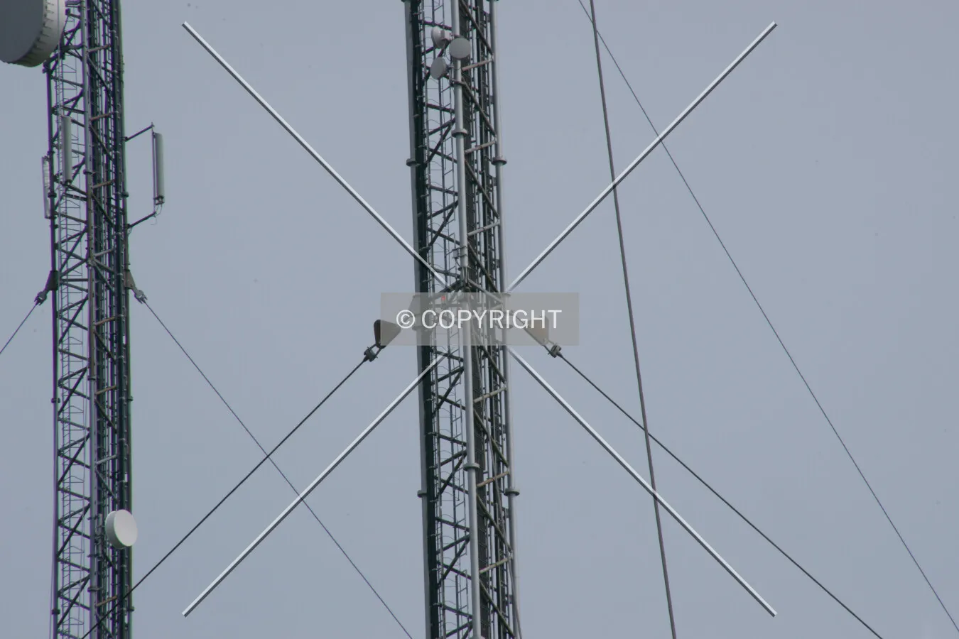 Photo 302-290-225