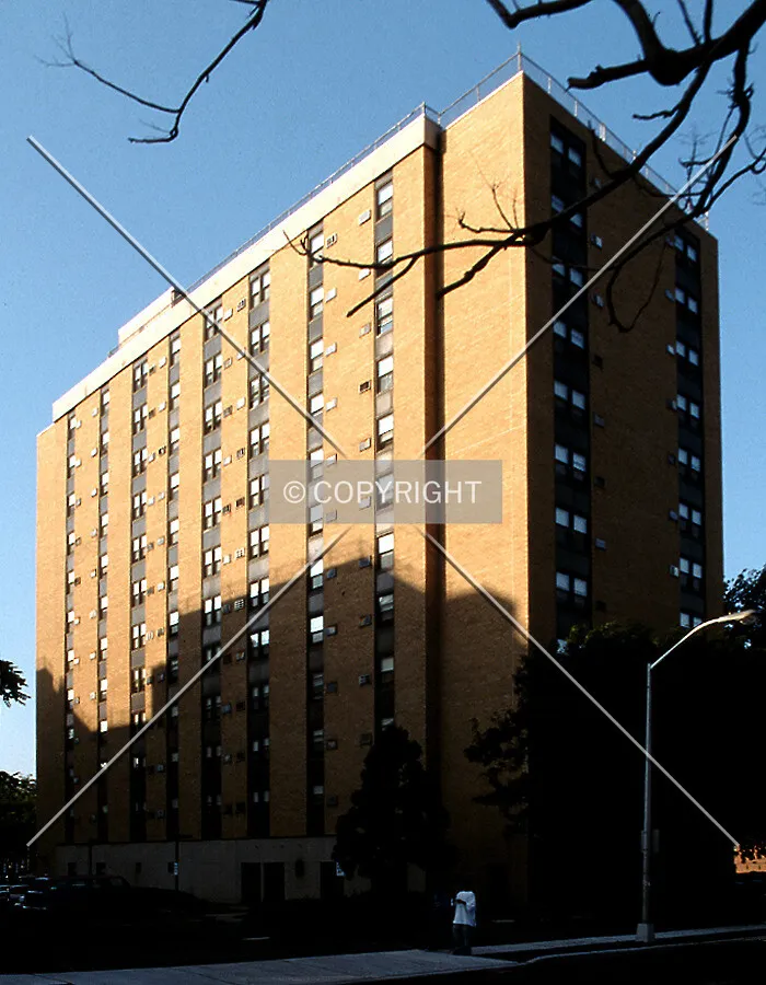 Photo 302-482-572