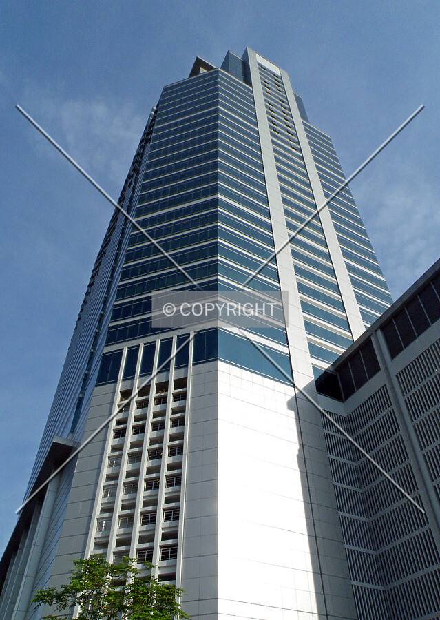 View from the southeast