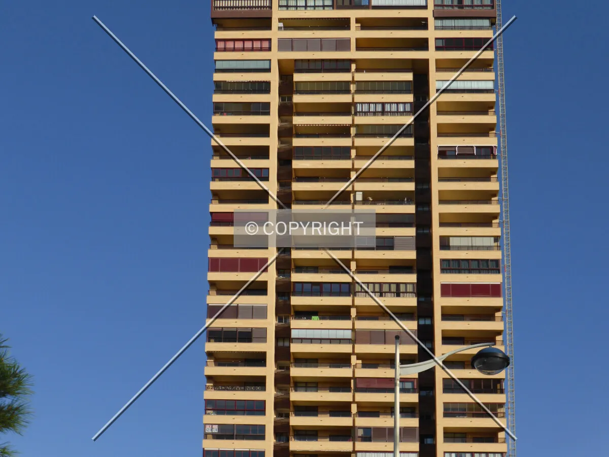 Photo 303-247-320