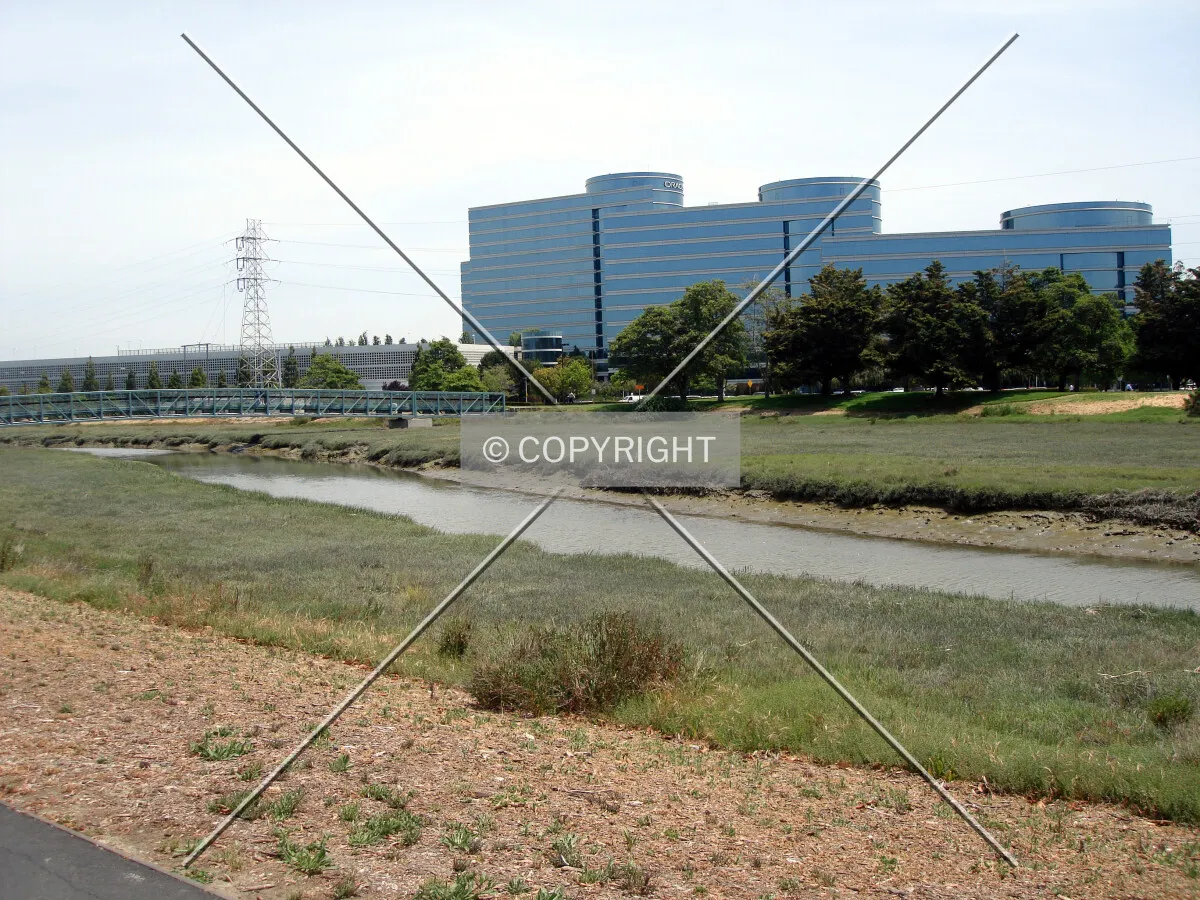 Photo 304-003-382