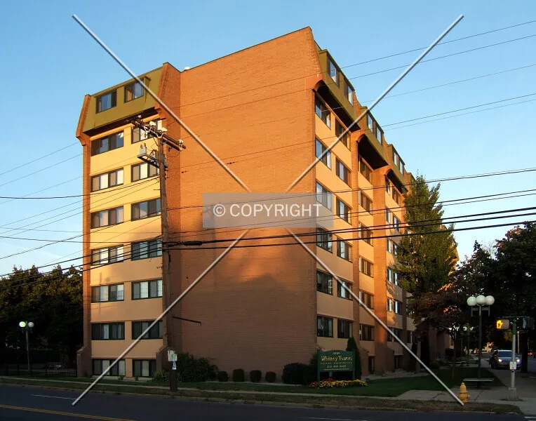 Whitney Towers