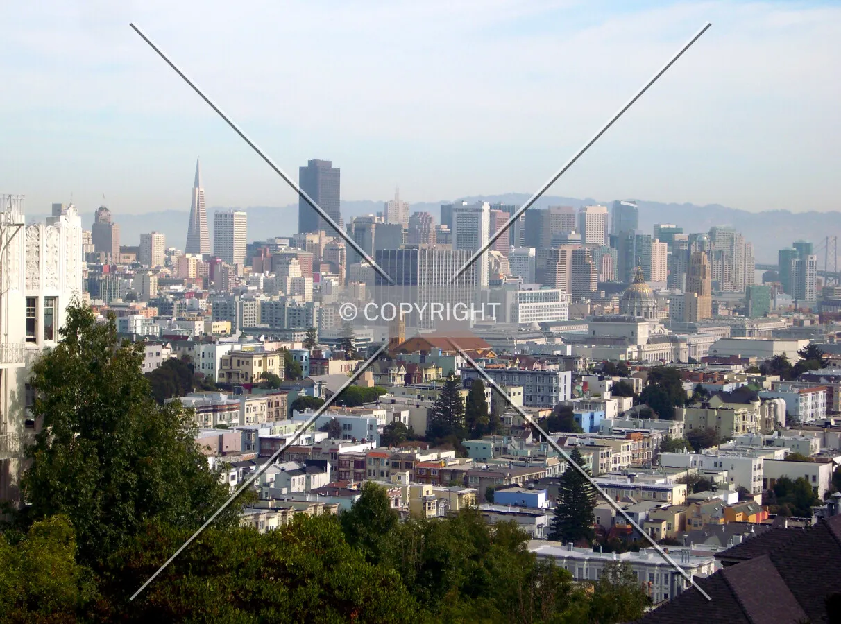 Photo 304-308-850