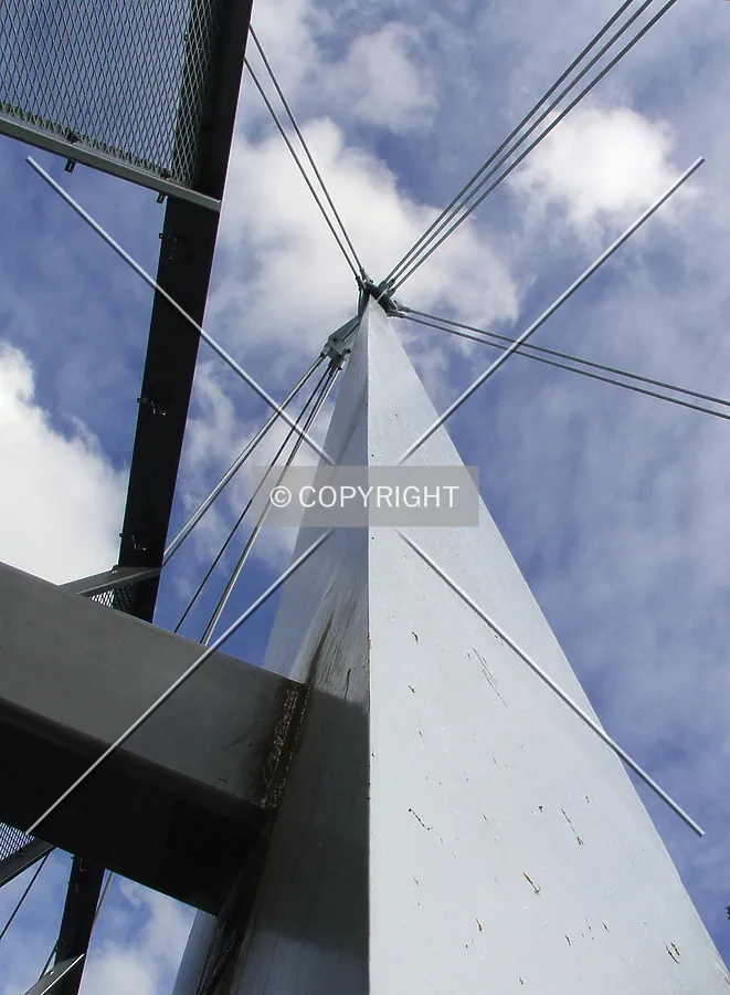 Looking up from the suspension bridge