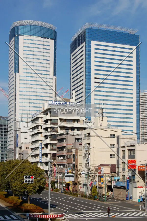 View from the south
