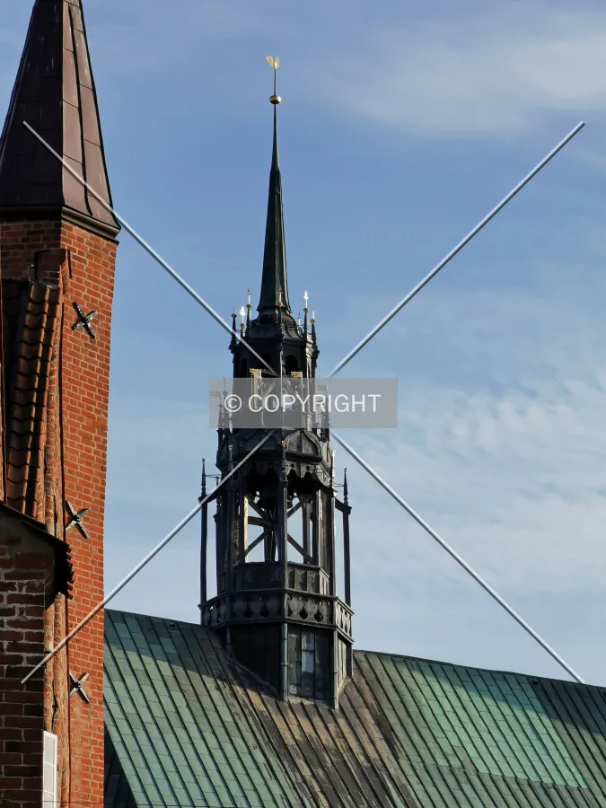 Photo 306-146-449