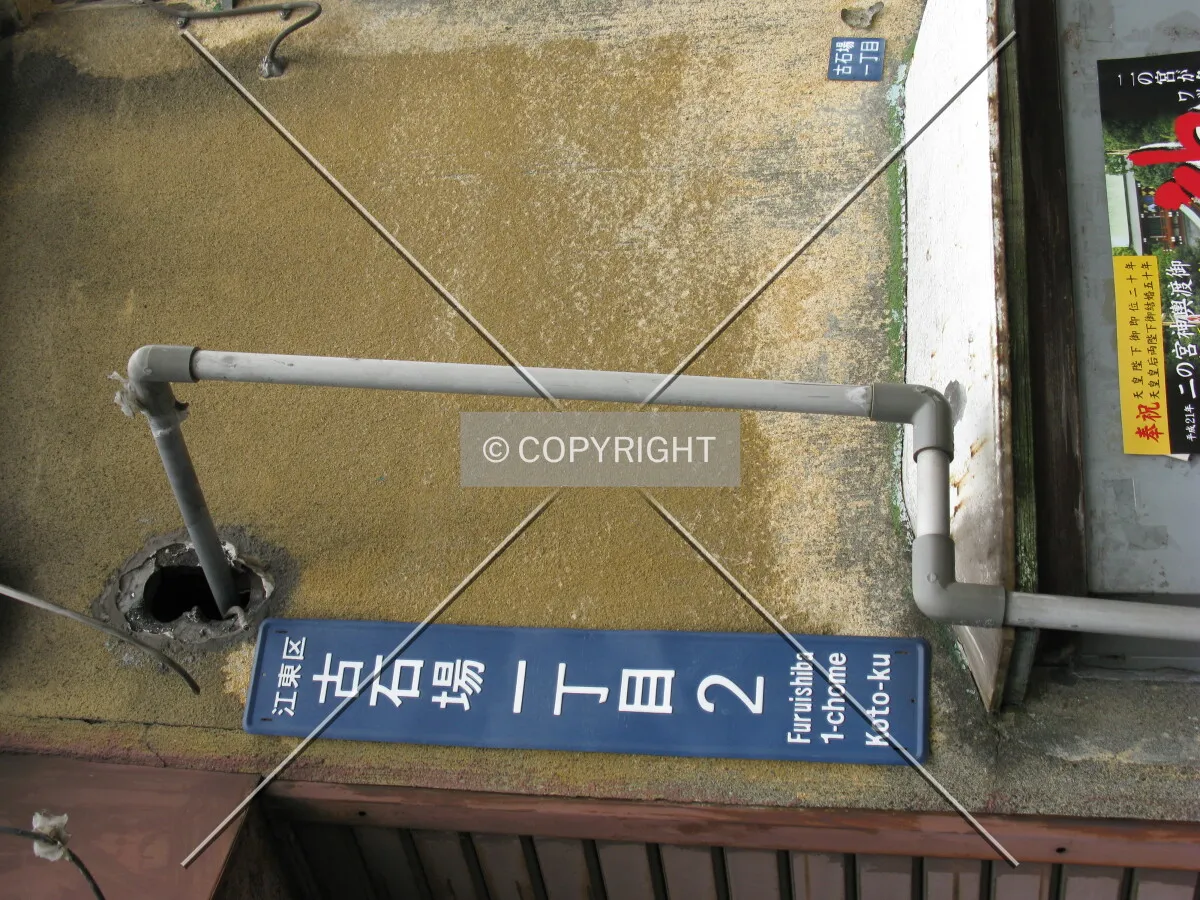 Photo 307-119-721