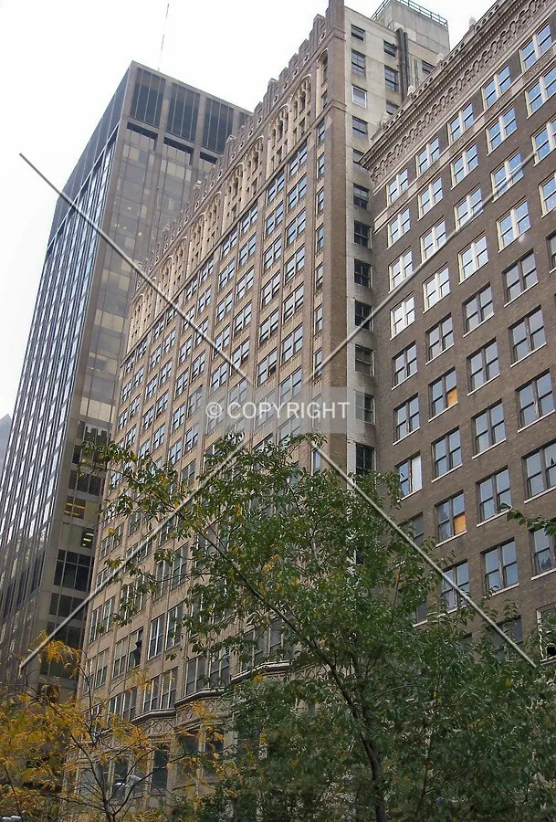 View from the northwest