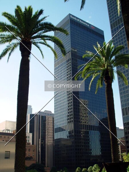 Photo 307-310-062