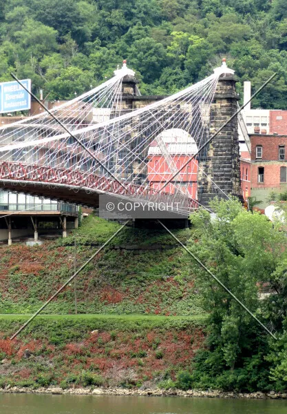 Photo 030-739-516