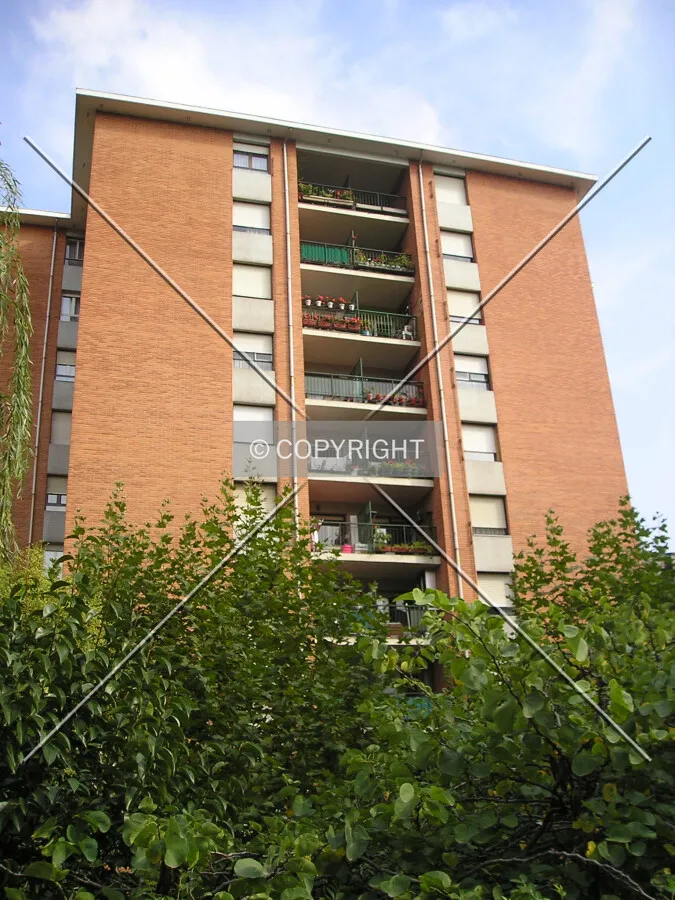 View from a nearby park