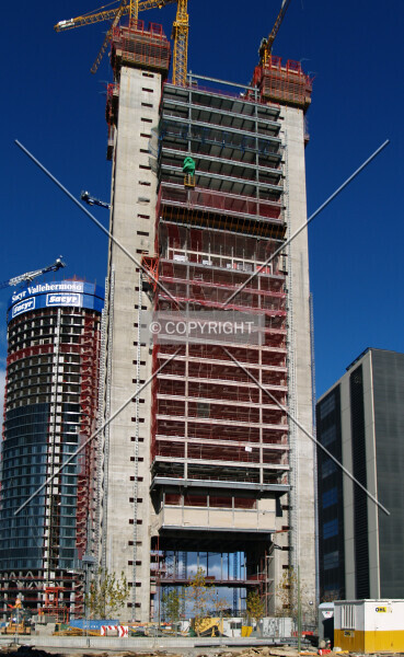 Photo 308-113-706