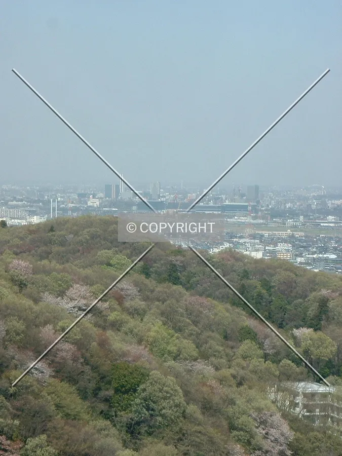 Downtown from a great distance