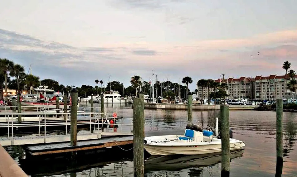 Photo 030-828-670