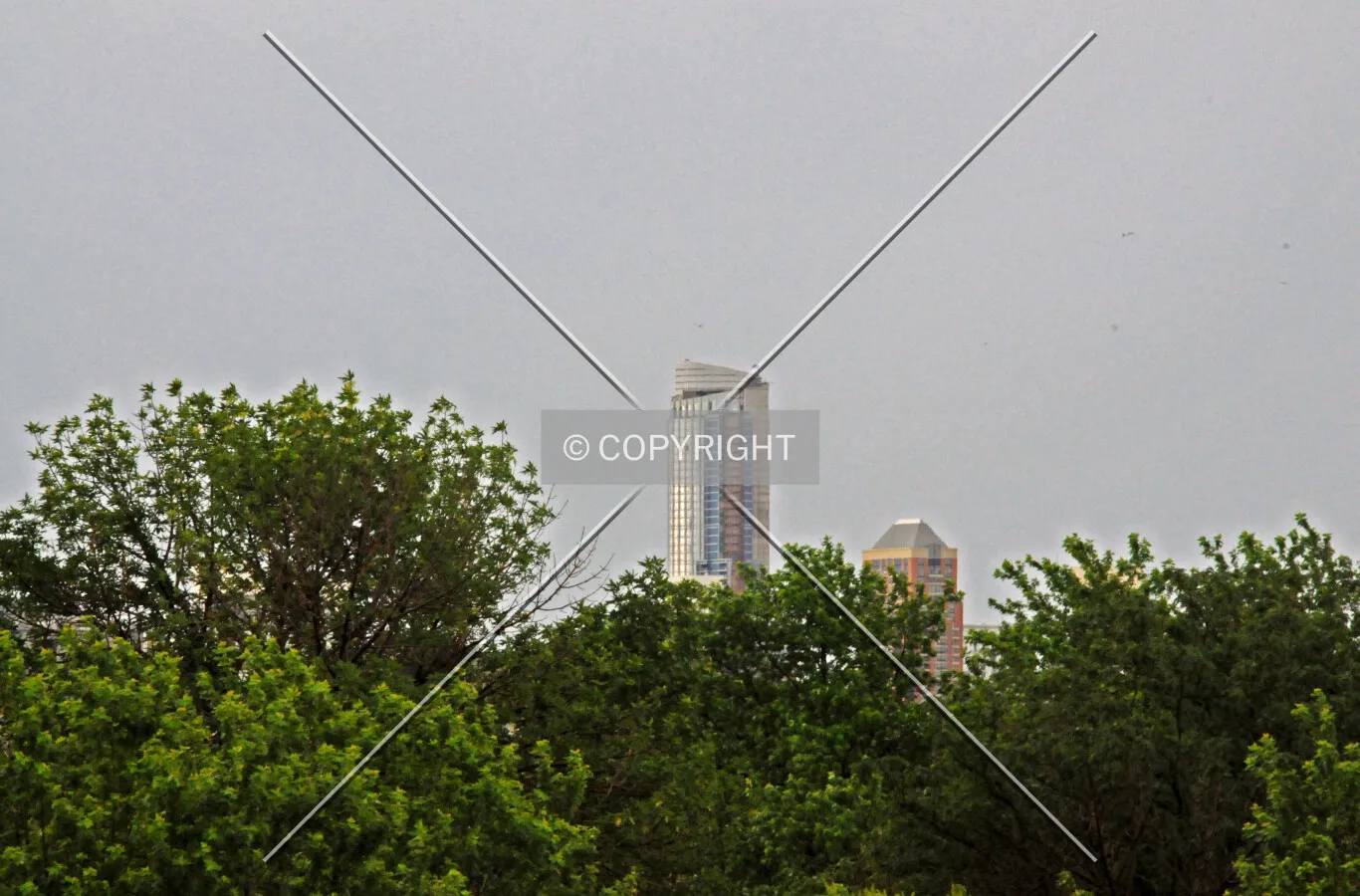 Looking southeast over the tree canopy of Union Park from the Ashland and Lake Station transfer bridge