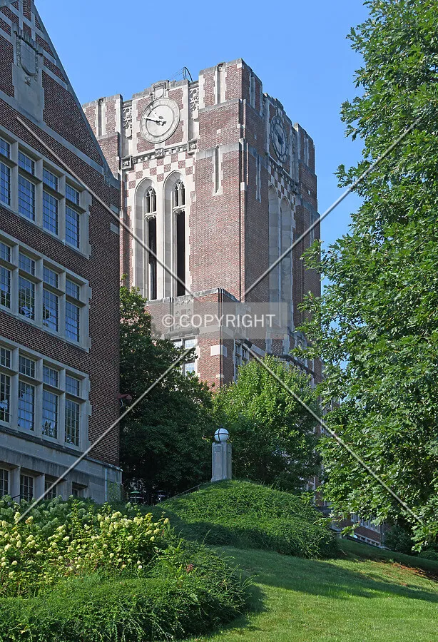 View from the northeast