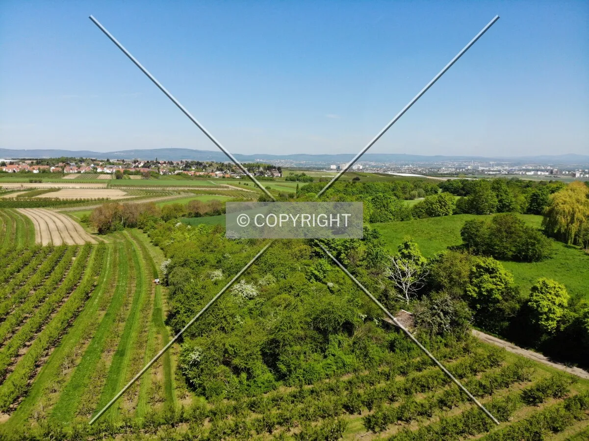 Landscape and green