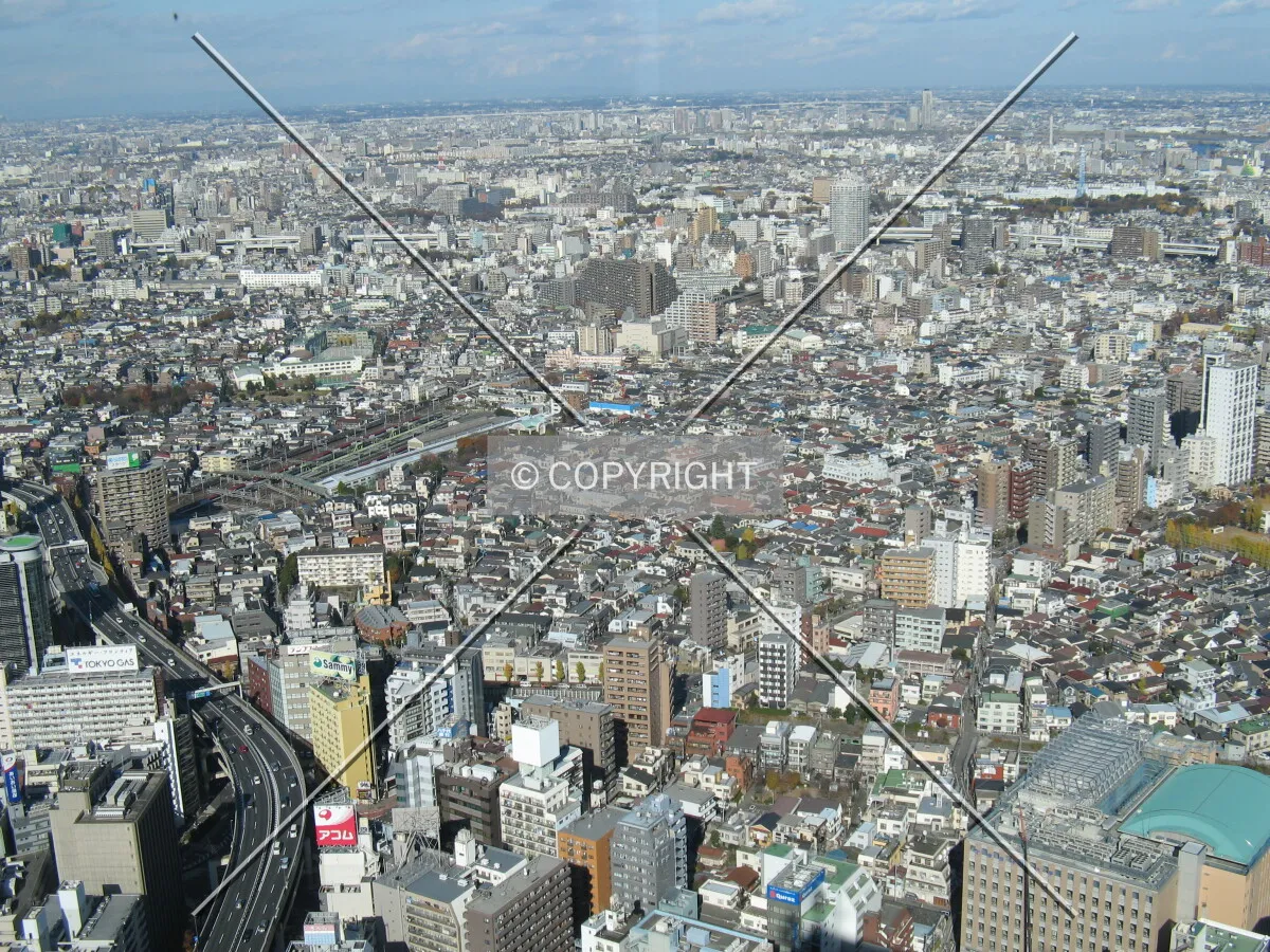 Photo 309-101-920