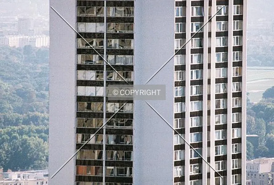 Photo 309-209-997