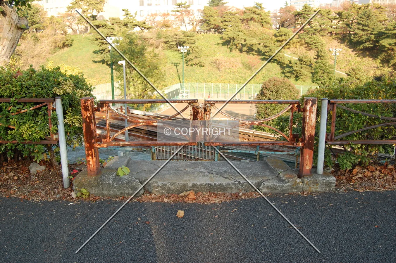 Photo 309-210-345