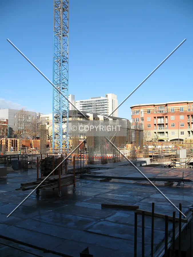 Looking northeast through the site