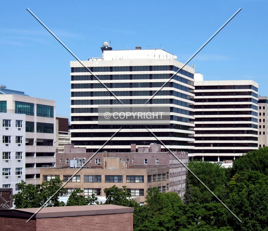 View from the southeast