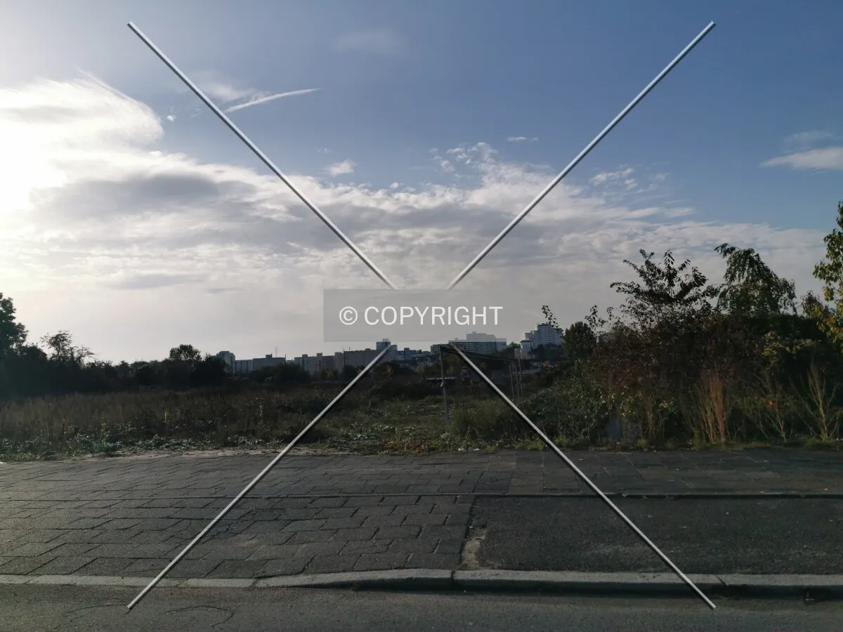 Photo 310-139-659