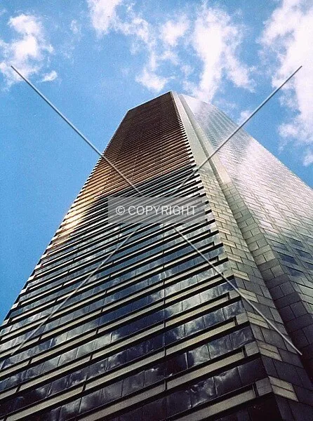Photo 310-461-395