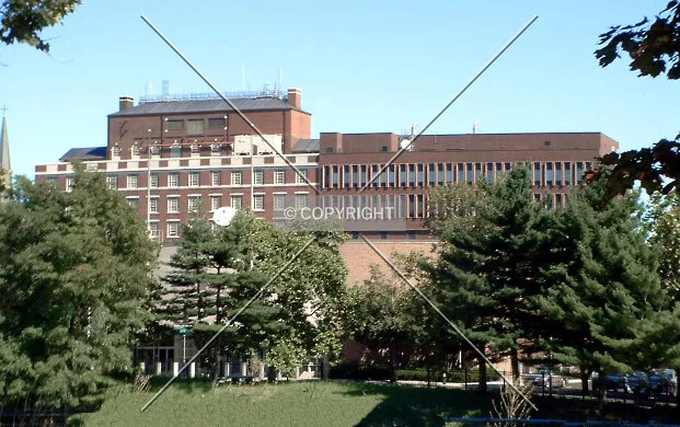 View from the southwest