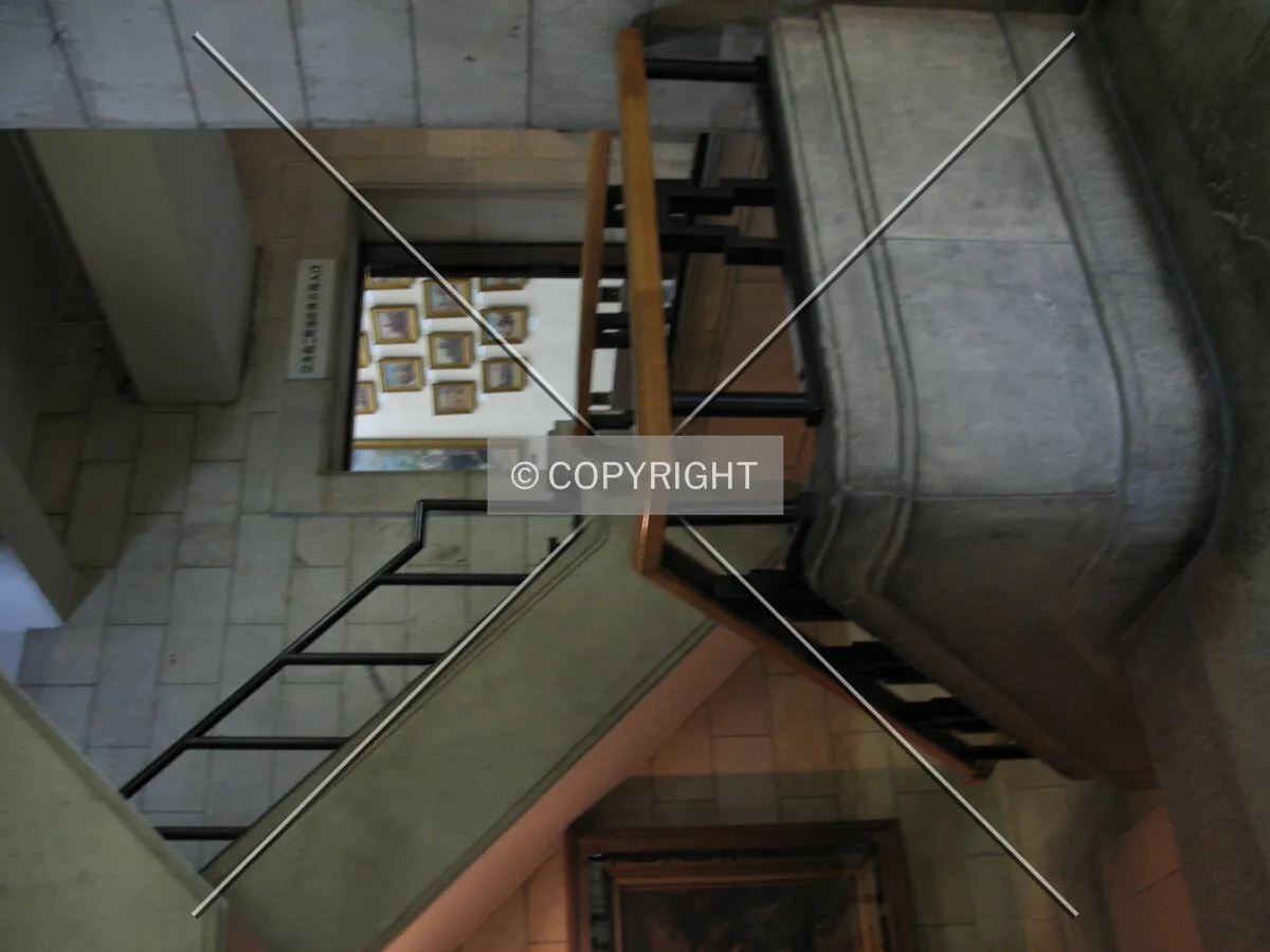 Photo 311-002-667