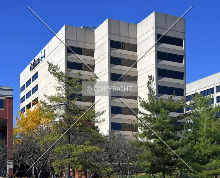 Photo 311-172-851
