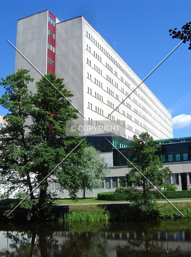 View from across the river Svartån