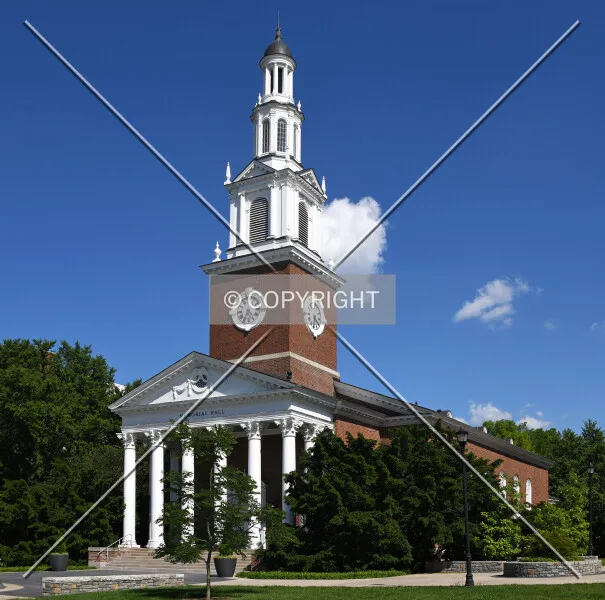 Photo 031-154-399