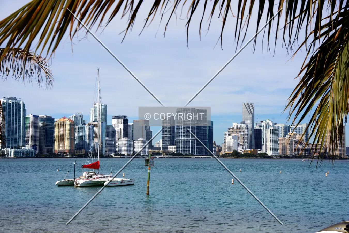 Miami Skyline with catamaran