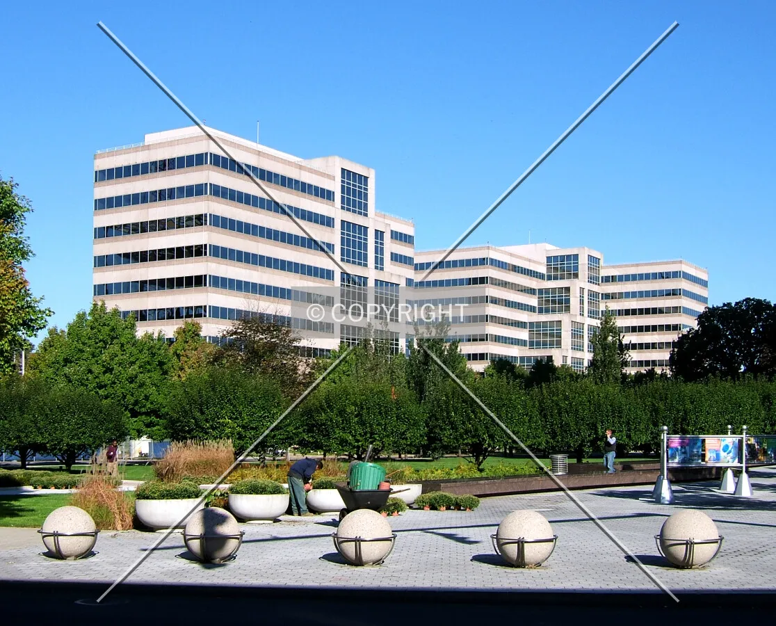 View from the southeast
