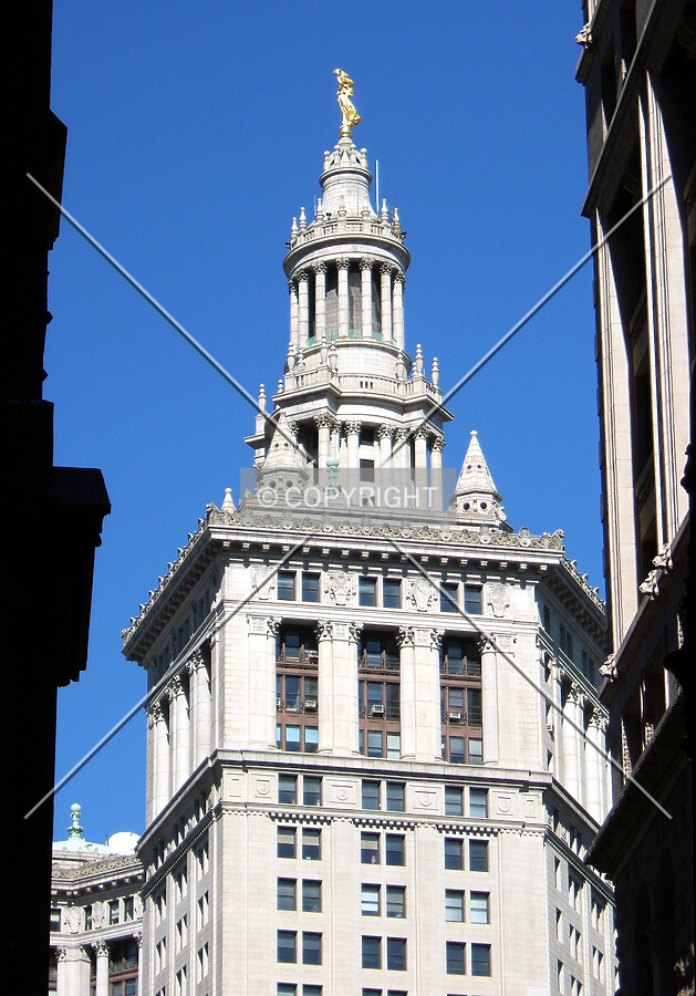 View from the southwest