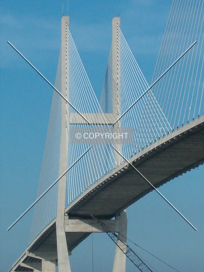 View of the south tower