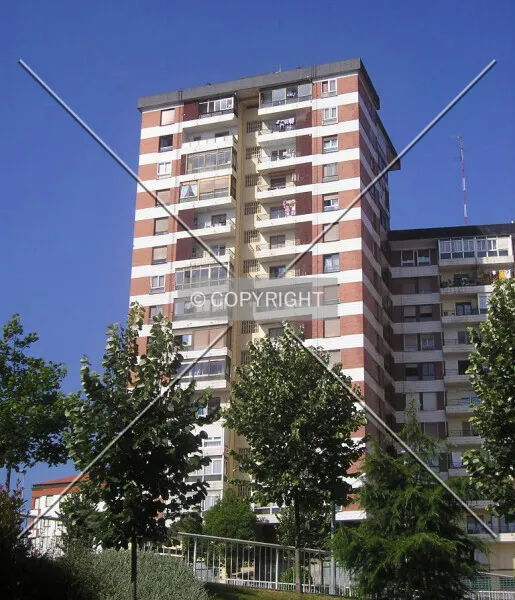 Photo 313-445-215