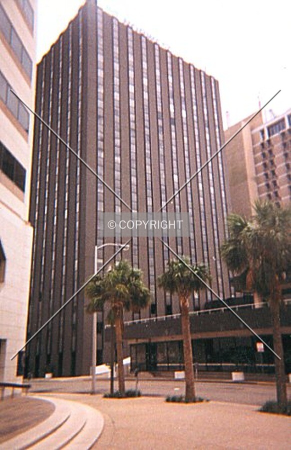 Wells Fargo and palm trees