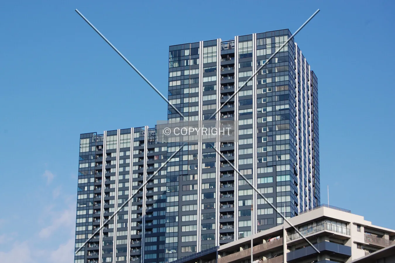 Tops from the east