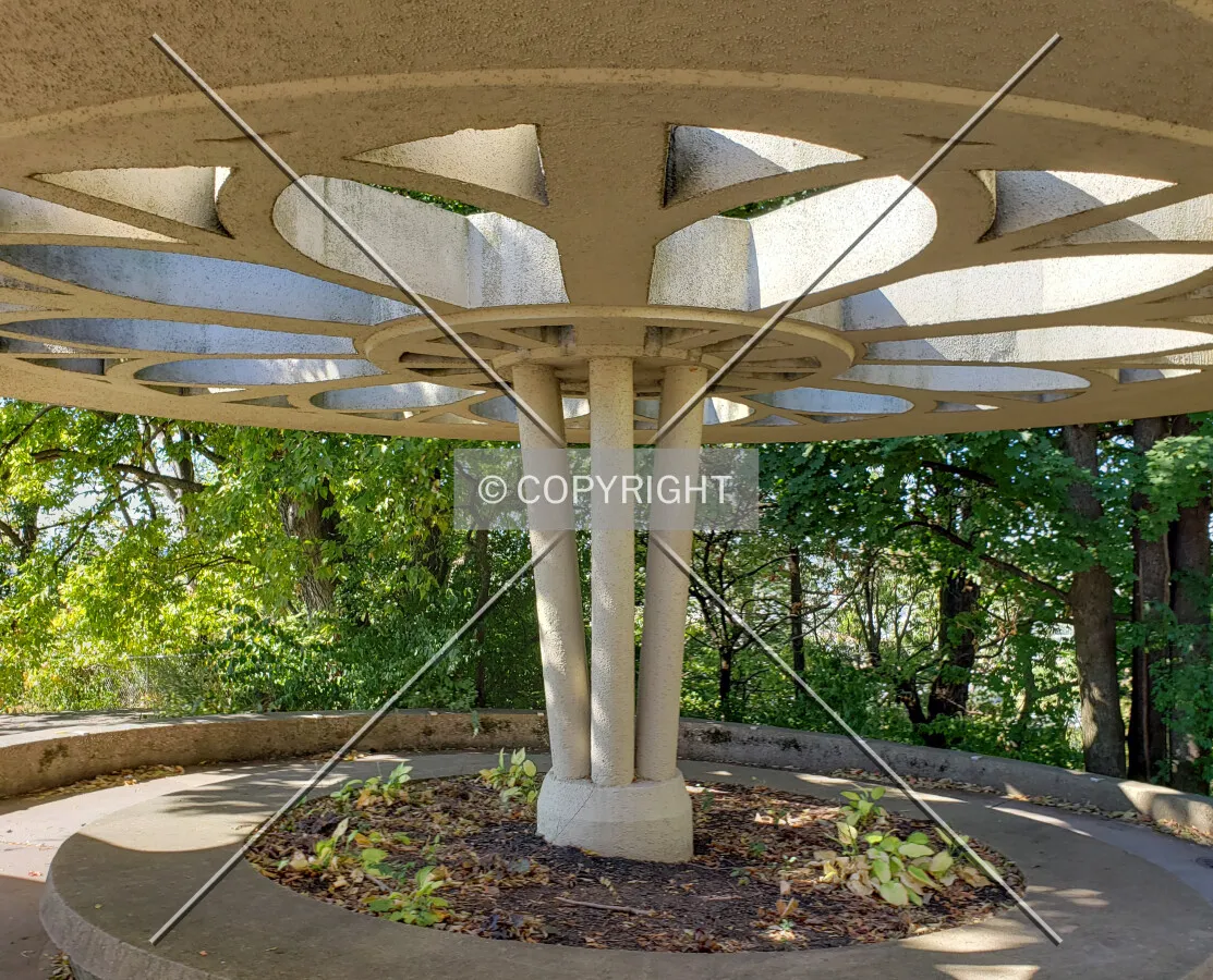 View under a pergola; October 5, 2019