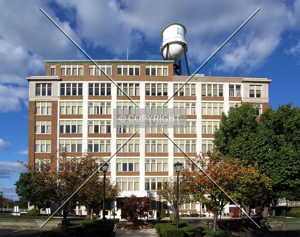 View from the southwest