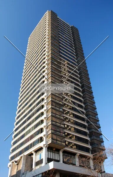 Photo 315-319-259