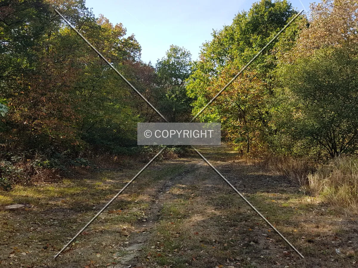 Photo 316-116-293