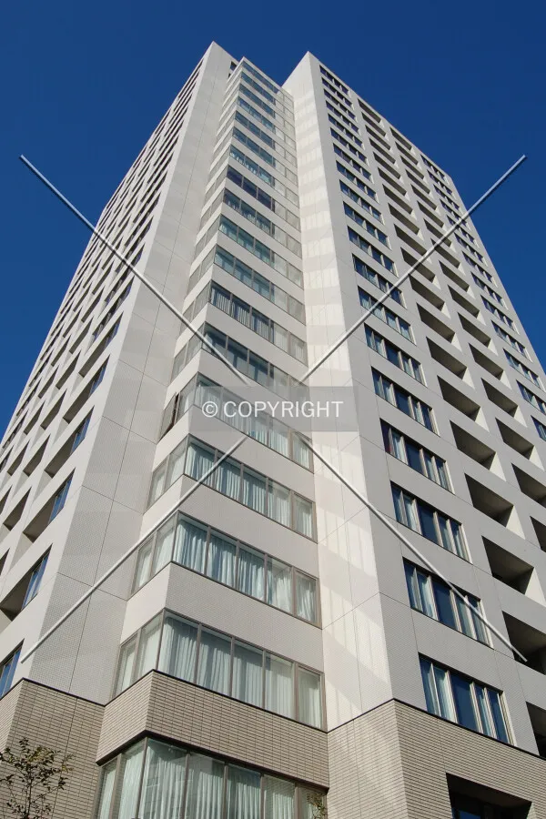 Looking up from the southeast