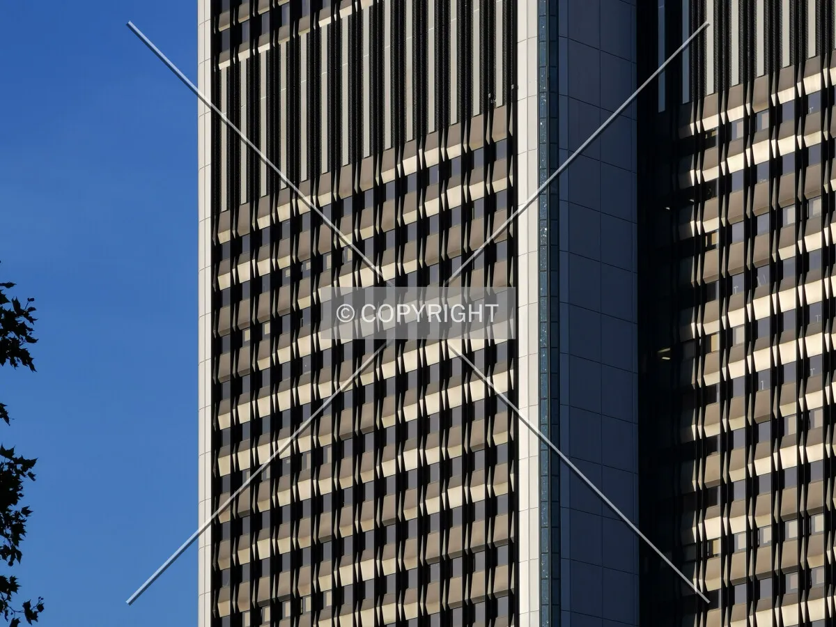 Photo 316-362-350