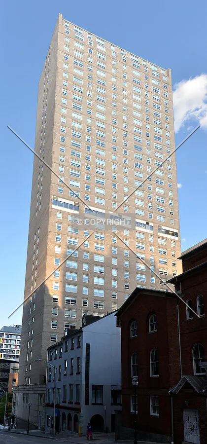View from the northwest