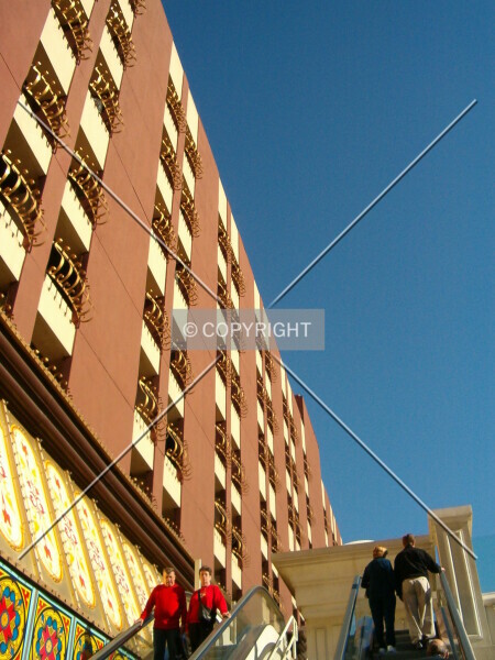 Photo 317-147-010