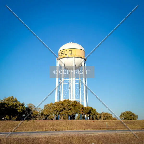Photo 317-219-797